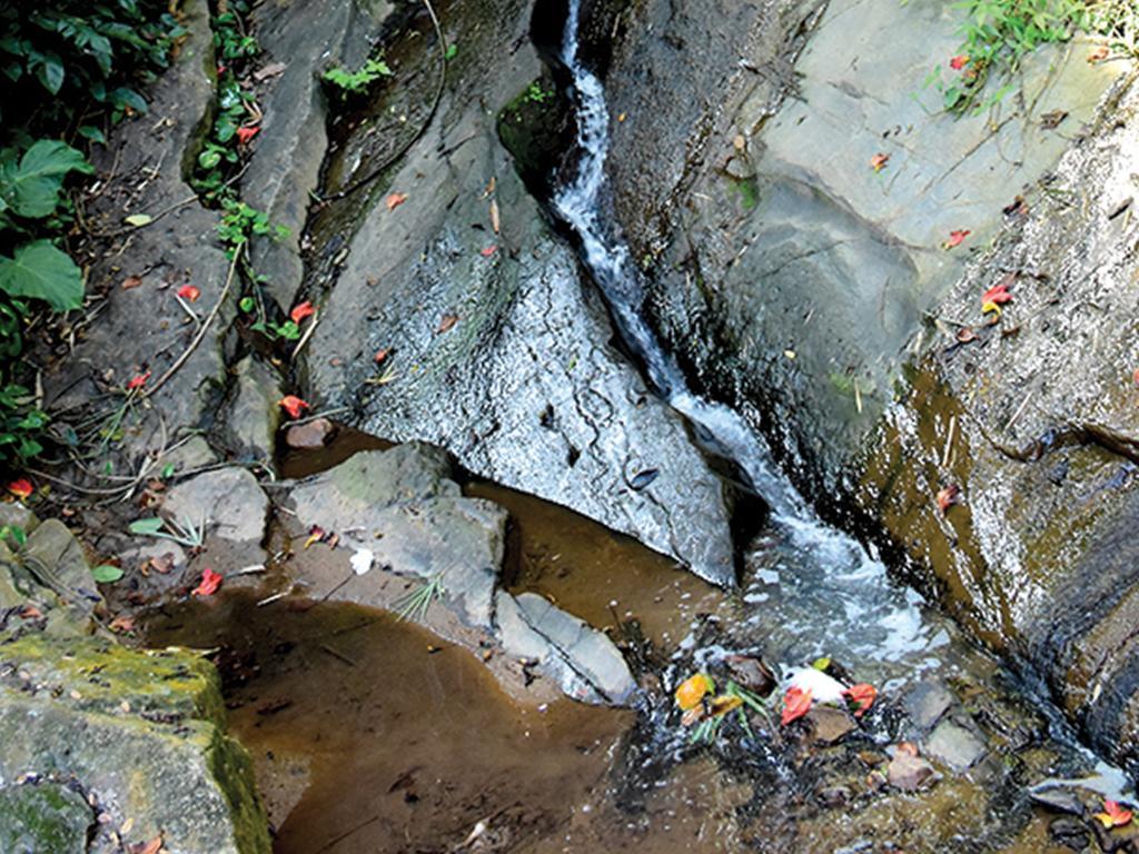 Aronka Homestay Kandy Ngoại thất bức ảnh